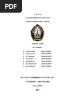 Download CAMPAK by Dhiena SpRyt SN92459729 doc pdf