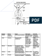 Sistem Endokrin