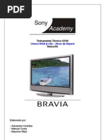 Download Dicas de Reparo - Sony Bravia by Jonas Hamilton SN92463288 doc pdf