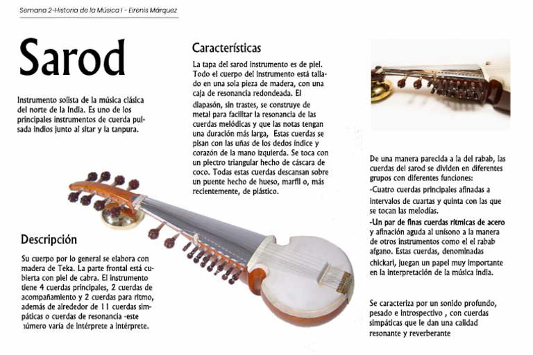 Sarod: Instrumento Clave de India | PDF