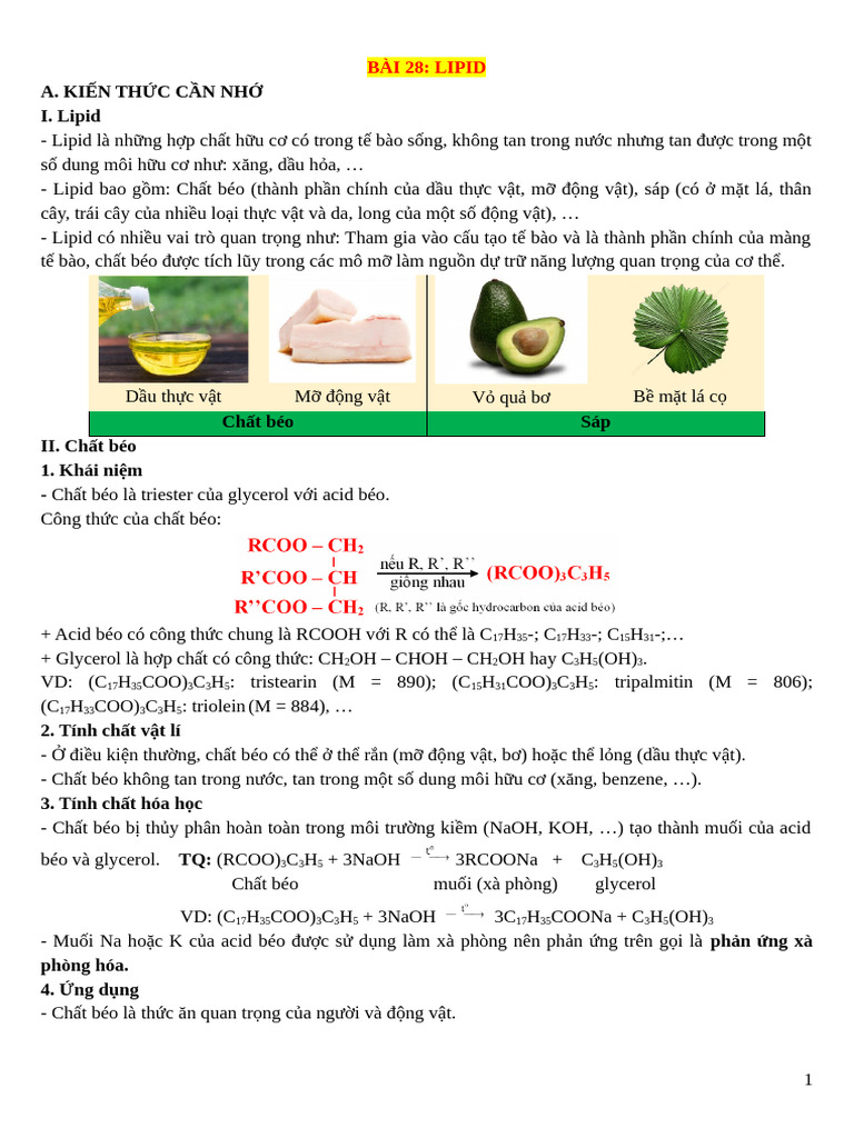 Bài 28 - 29 | PDF