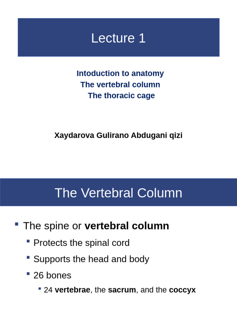 Anatomy of the Vertebral Column and Thoracic Cage | PDF | Vertebra | Thorax