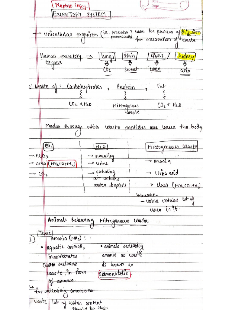 Biology Hand Written Note 1 | PDF