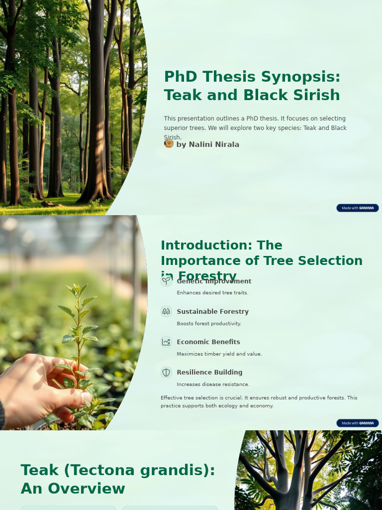 Teak and Black Sirish Tree Selection | PDF | Soil | Trees