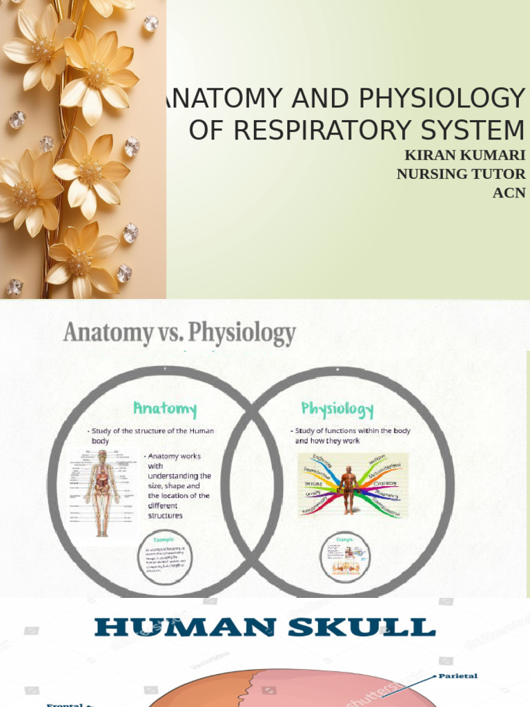 Respiratory System Anatomy Overview | PDF | Human Nose | Larynx