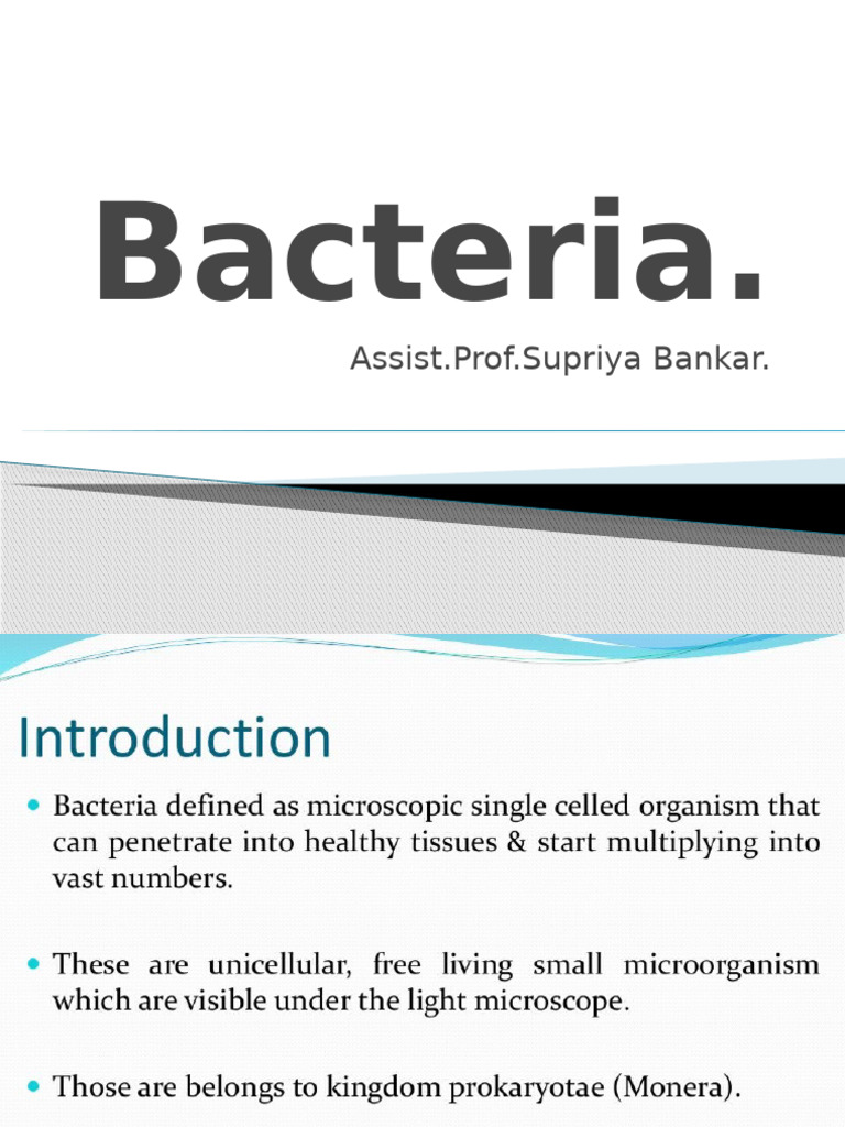 Bacteria | PDF