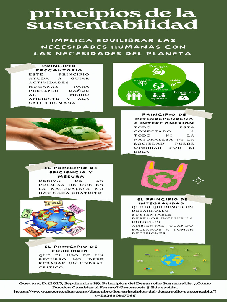 Principios Clave de la Sustentabilidad | PDF