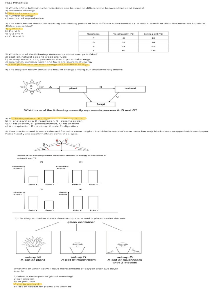 Untitled | PDF