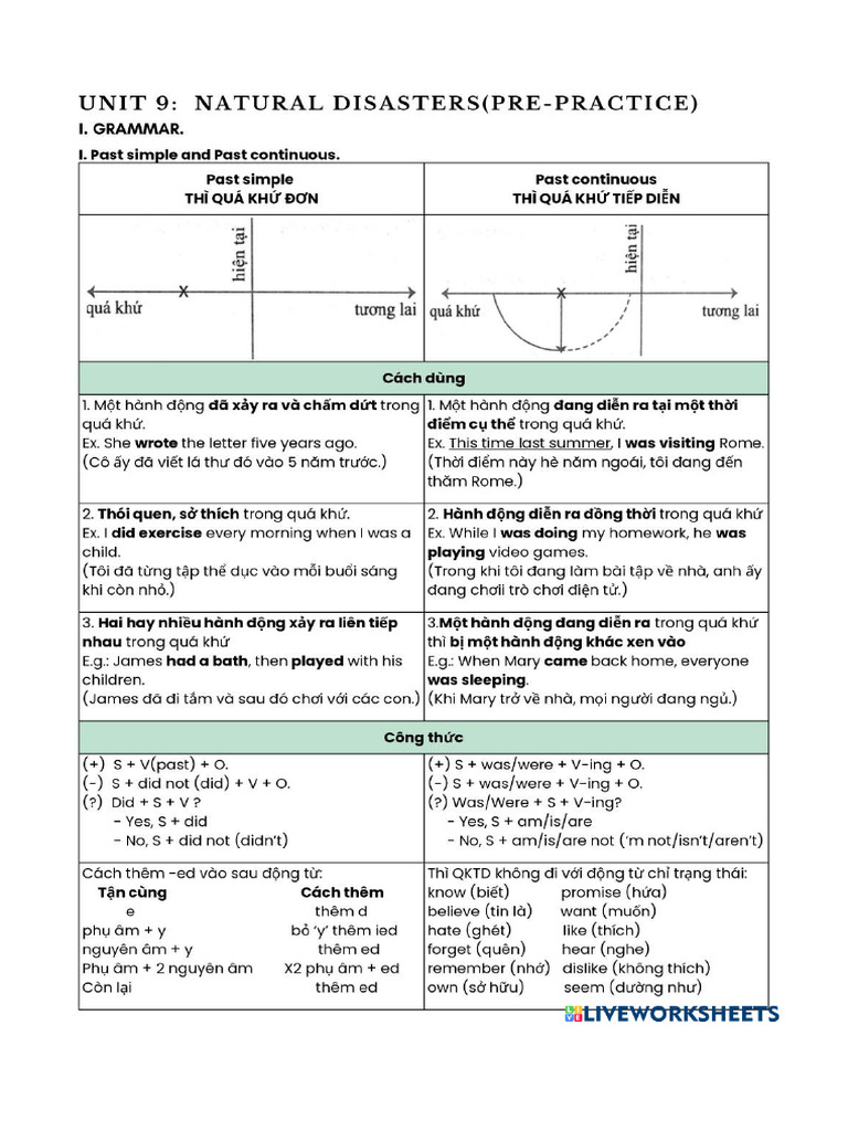 List of VRG Codes and Terms | PDF