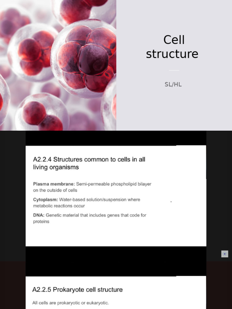 Cell Structure | PDF
