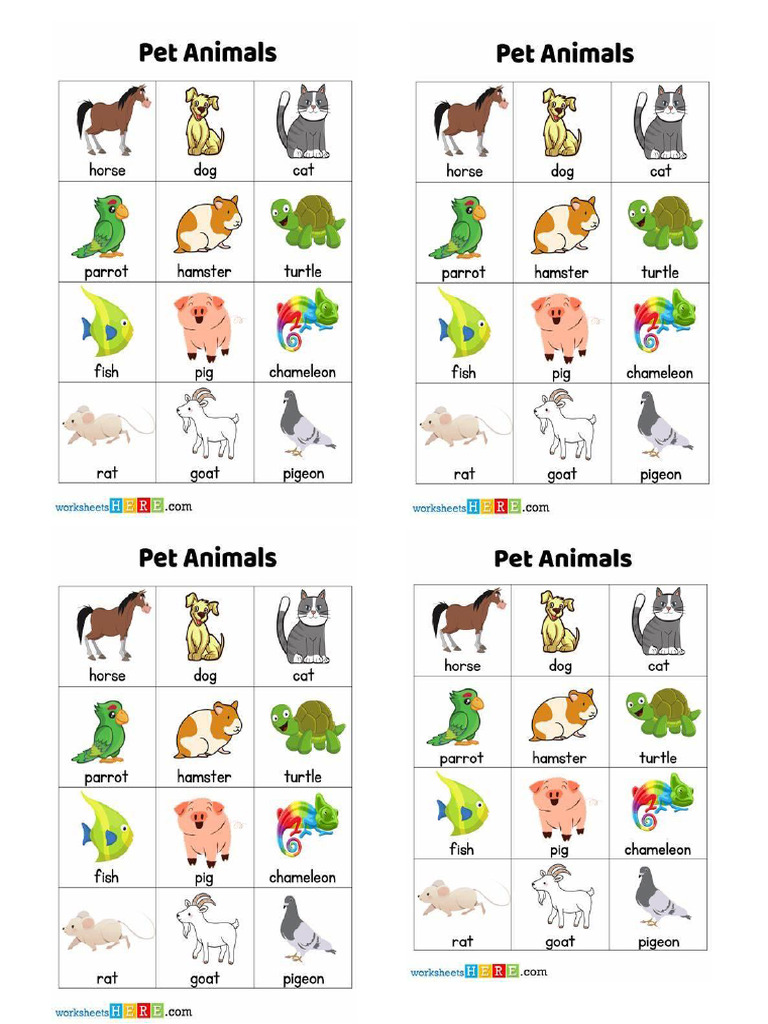 Pet Animals Picture | PDF