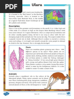 Uluru: Economic and Cultural Significance | PDF