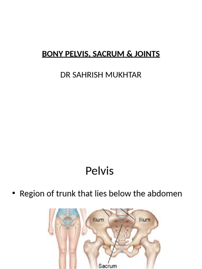 Pelvic Brim Boundaries Explained | PDF | Pelvis | Musculoskeletal System