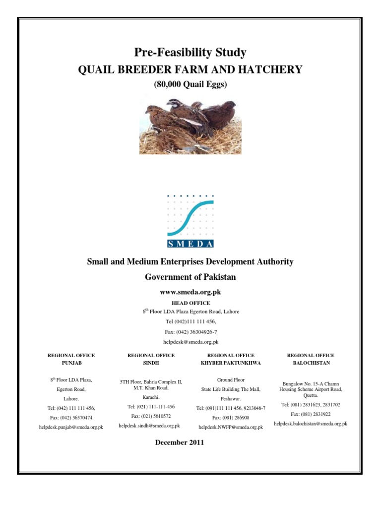 SMEDA Quail Breeder Farm and Hatchery (80,000 Quail Eggs) | PDF | Meat ...