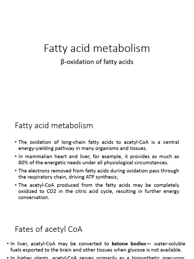 Fatty Acid Metabolism and Oxidation Process | PDF | Lipoprotein | Lipid