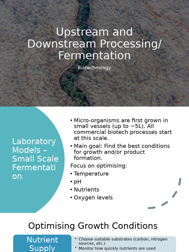 Small-Scale Fermentation Processing Guide | PDF | Anaerobic Digestion ...