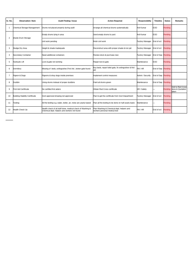 Audit MoM Tracker | PDF