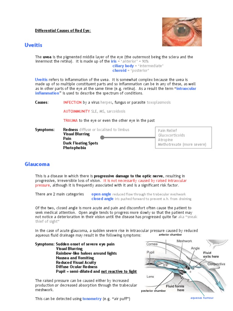 Ophthalmology Notes Human Eye
