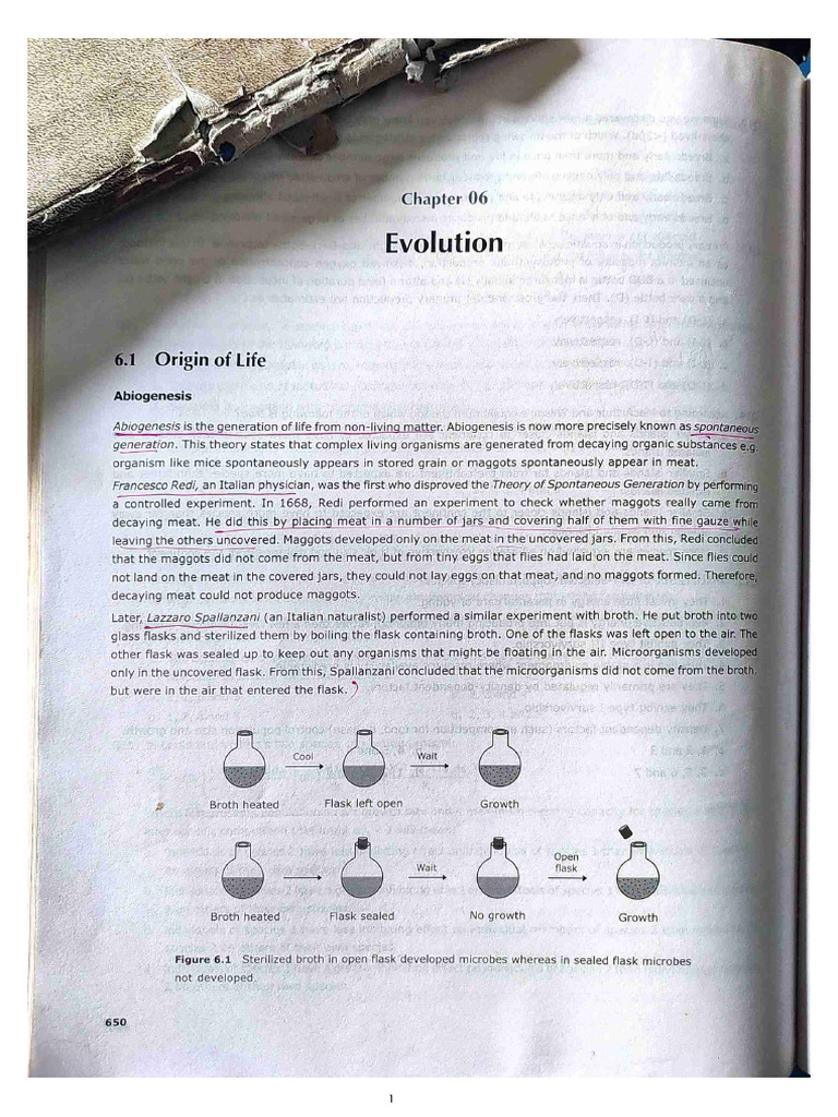 Origin of Life On Earth | PDF