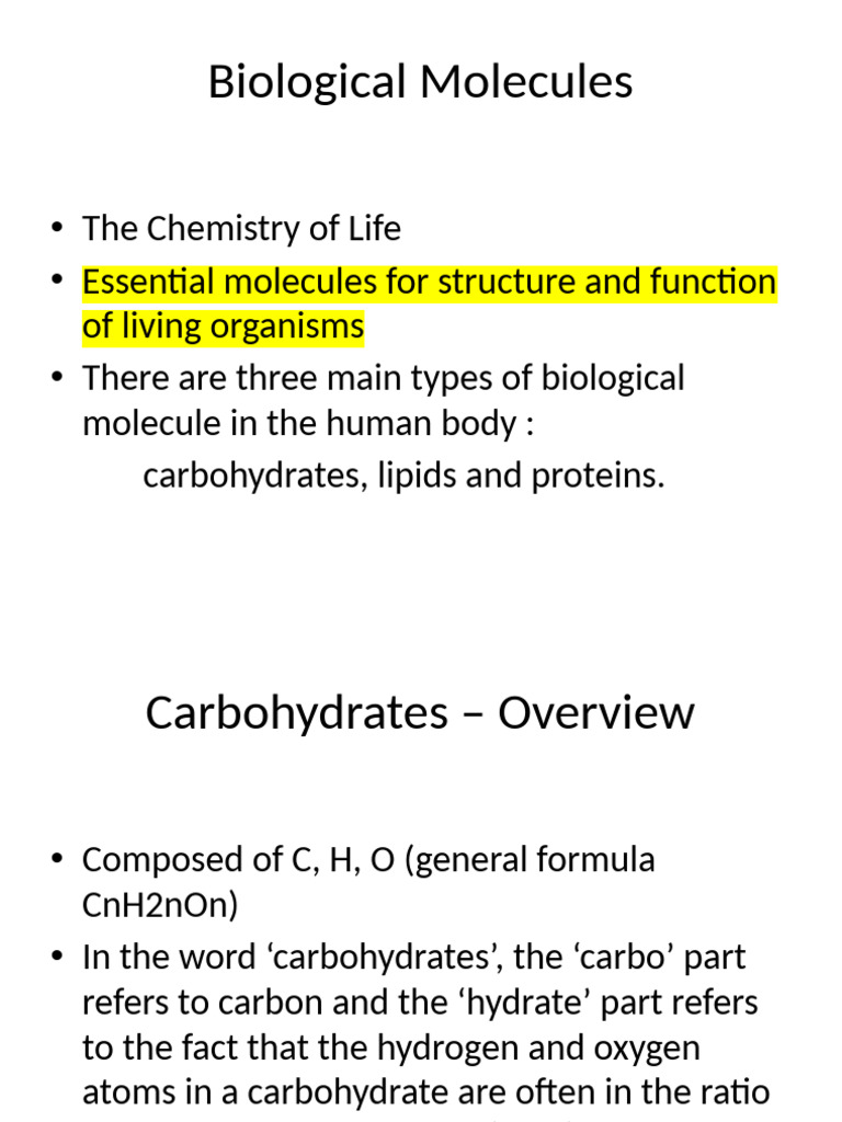 Overview of Biological Molecules | PDF | Carbohydrates | Glucose