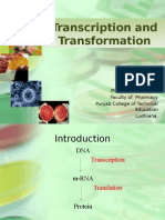 Transcription and Transformation