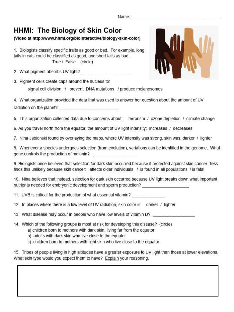 Understanding Skin Color Biology | PDF | Human Skin Color | Ultraviolet