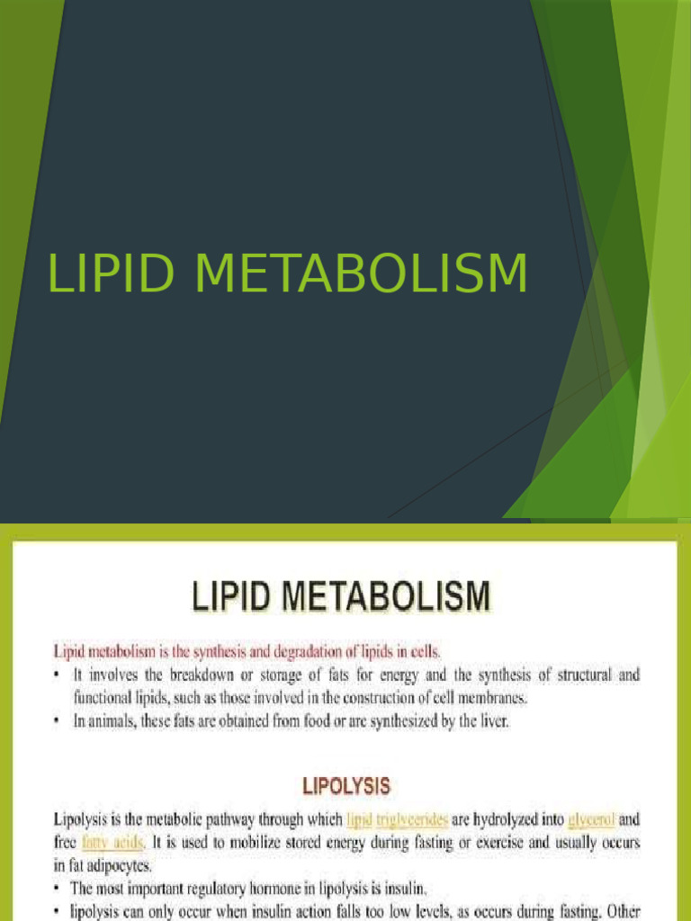 Metabolism of Lipids Related Disorders | PDF
