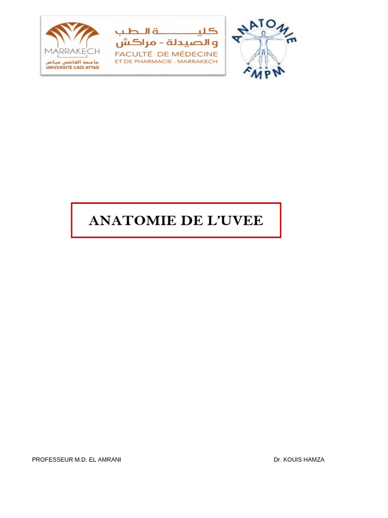 Anatomie de l'uvée oculaire | PDF | Œil humain | Artère