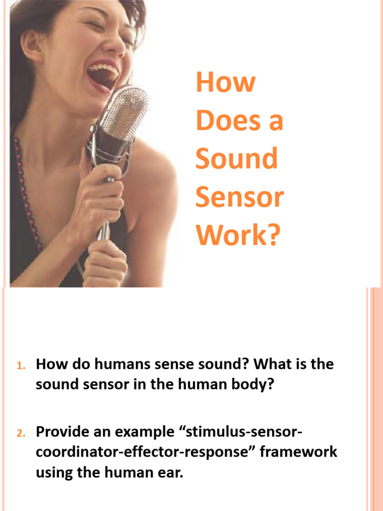 Understanding Sound Sensors and Hearing | PDF | Sound | Ear