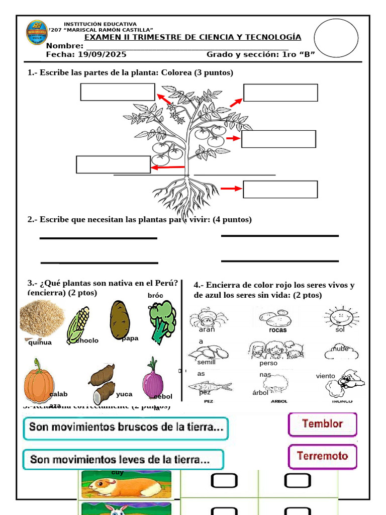 Examen de Ciencia y Tecnología 1ro B | PDF