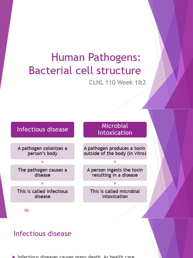 03 Human Pathogens Cell Structure | PDF | Bacteria | Microorganism