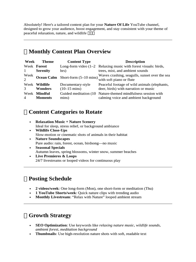 Youtube Planner | PDF