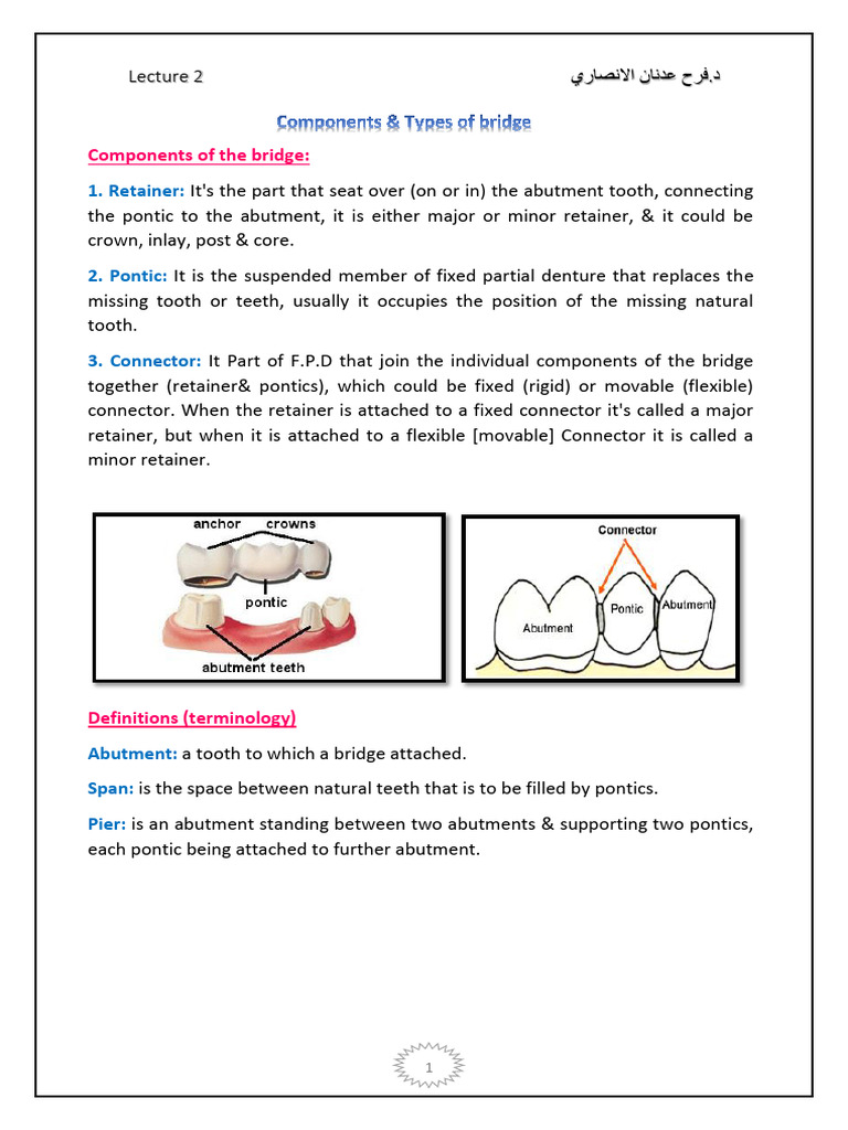 Components of Fixed Bridges Explained | PDF | Dentistry Branches ...