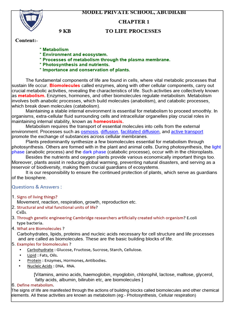 9kb - Notes - Chapter1 To Life Processes | PDF | Photosynthesis ...