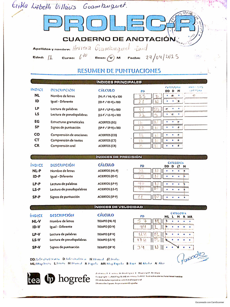 Test Prolec - Erika Villacís - Análisis e Interpretación | PDF