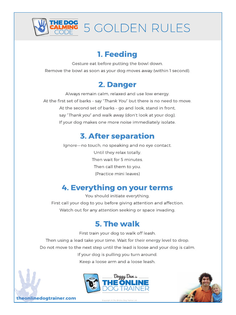 TheDogCalmingCode 5 Golden Rules V2 | PDF