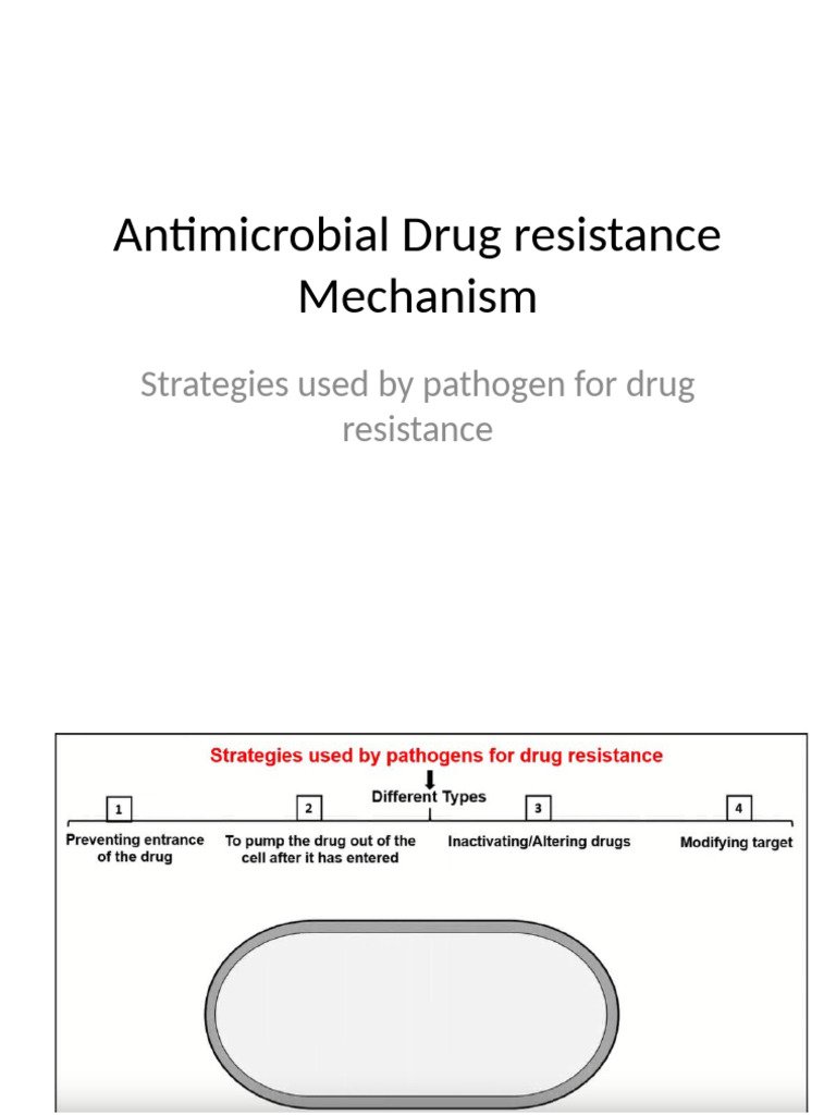 Antimicrobial Drug Resistance Mechanism | PDF