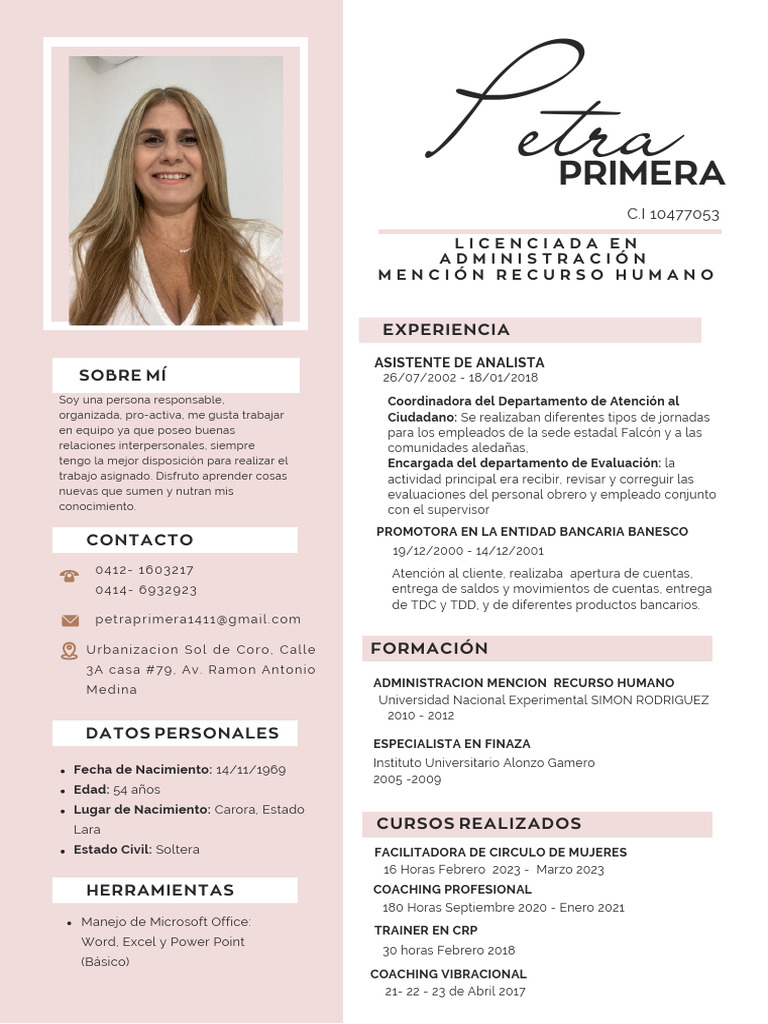Currículum Vitae CV Diseñadora y Arquitecta Minimalista Rosa | PDF