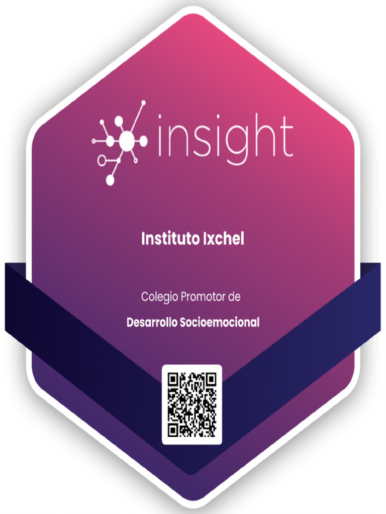 Insight | PDF