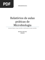 Relatório de aulas praticas de microbiologia