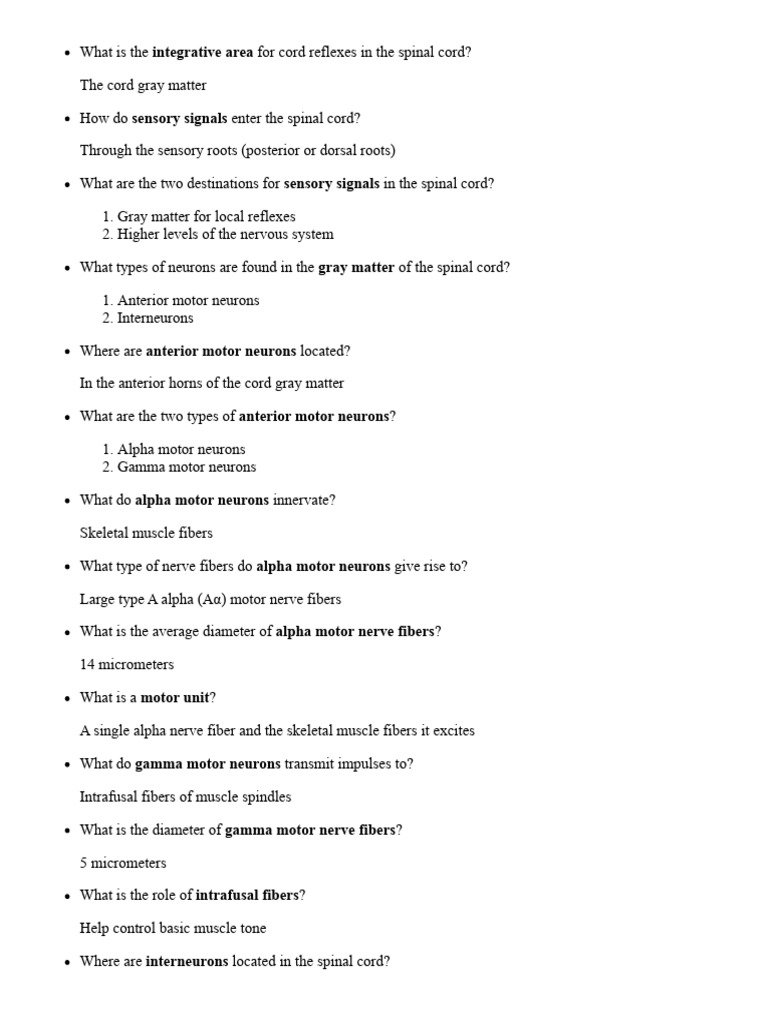 Spinal Cord Reflexes and Motor Neurons | PDF | Motor Neuron | Skeletal ...