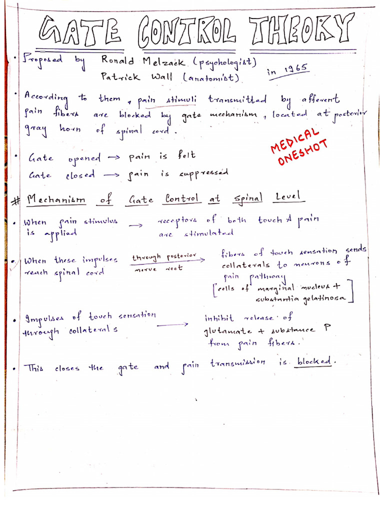 Gate Control Theory Handwritten Notes | PDF