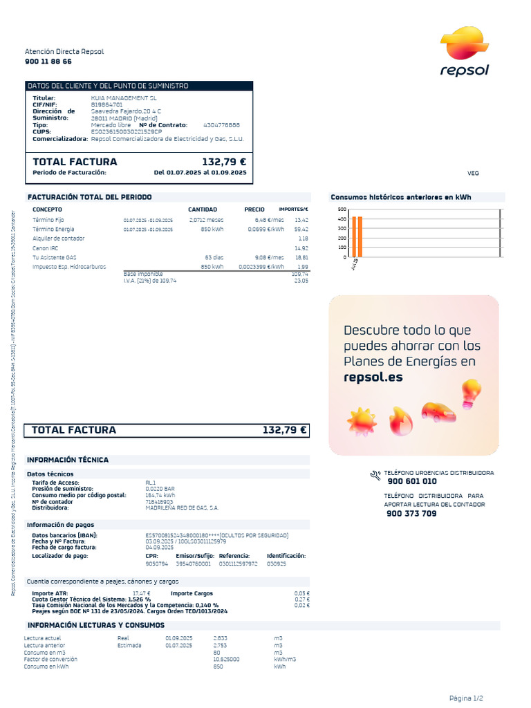 03.09 - Repsol - 5979 | PDF