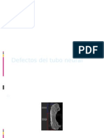 Diapositivas de Defecto de Tubo Neural