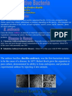 Gram Positive Bacteria