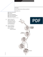 Revisões Unidade 7 Bio11ºano