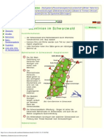 Bahnlinien Bahnstrecken Im Schwarzwald
