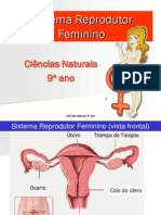 Sistema Reprodutor Feminino