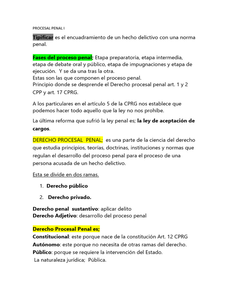 Proceso Penal: Estructura y Principios | PDF | Ley procesal | Derecho penal