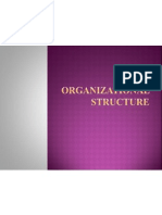 16465 Organizational Structure(2)